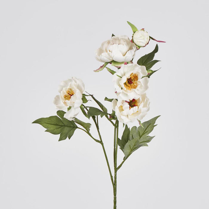 Peony Spray 64cm White 12 pcs