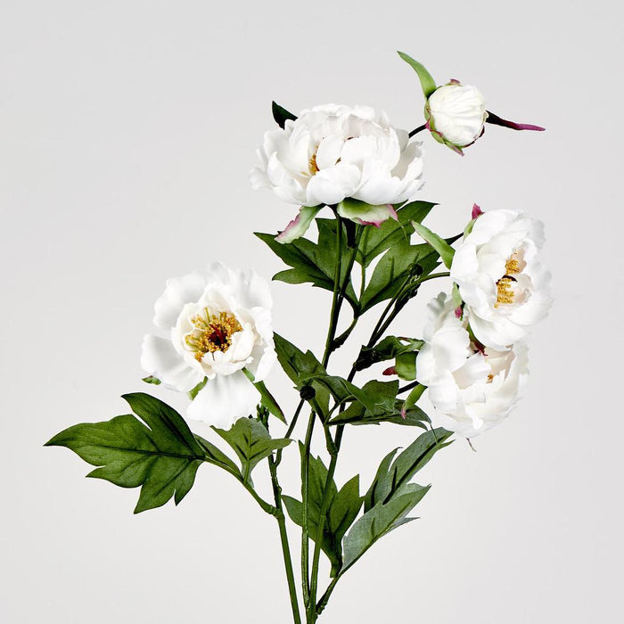 Peony Spray 64cm White 12 pcs