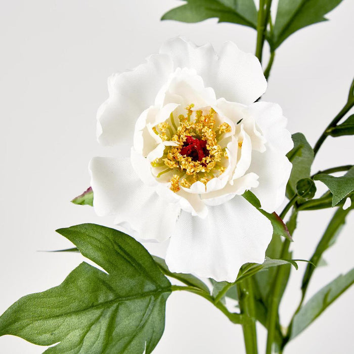Peony Spray 64cm White 12 pcs