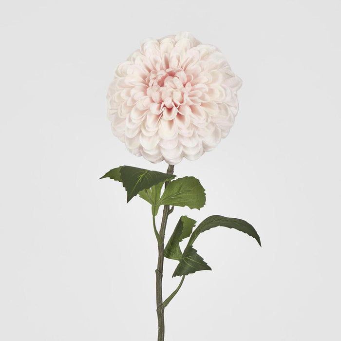 Single Ball Dahlia 74cm Light Pink 6 pcs