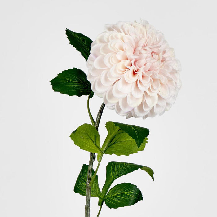 Single Ball Dahlia 74cm Light Pink 6 pcs