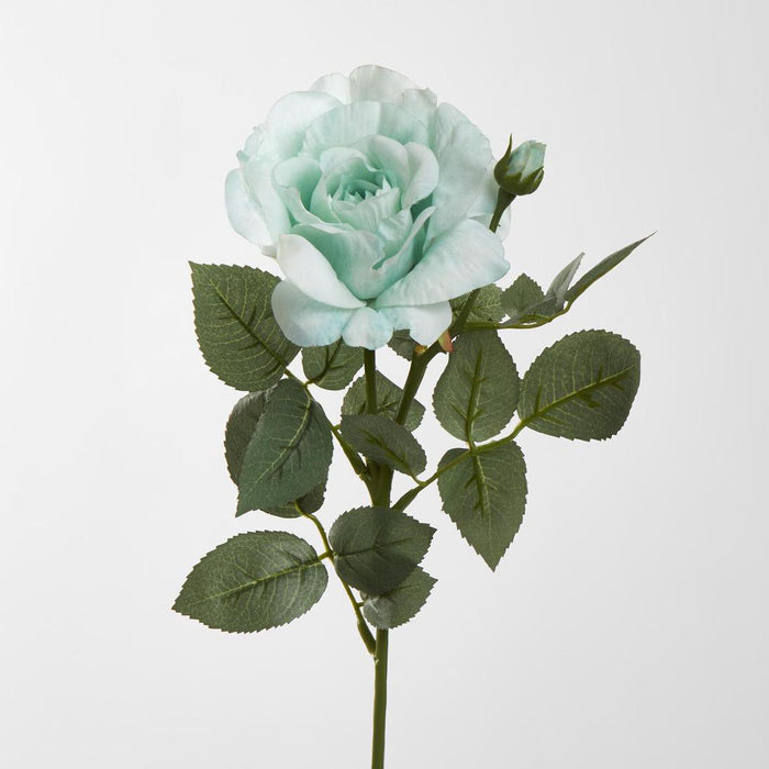 Colin Rose 64cm Green 6 pcs