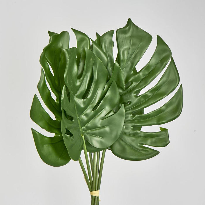 Monstera Leaf Bundle 2 Sizes Green