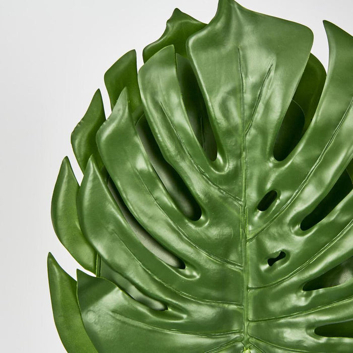 Monstera Leaf Bundle 2 Sizes Green
