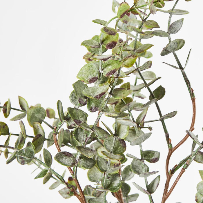 Eucalyptus Bundle 4pce 24 pcs