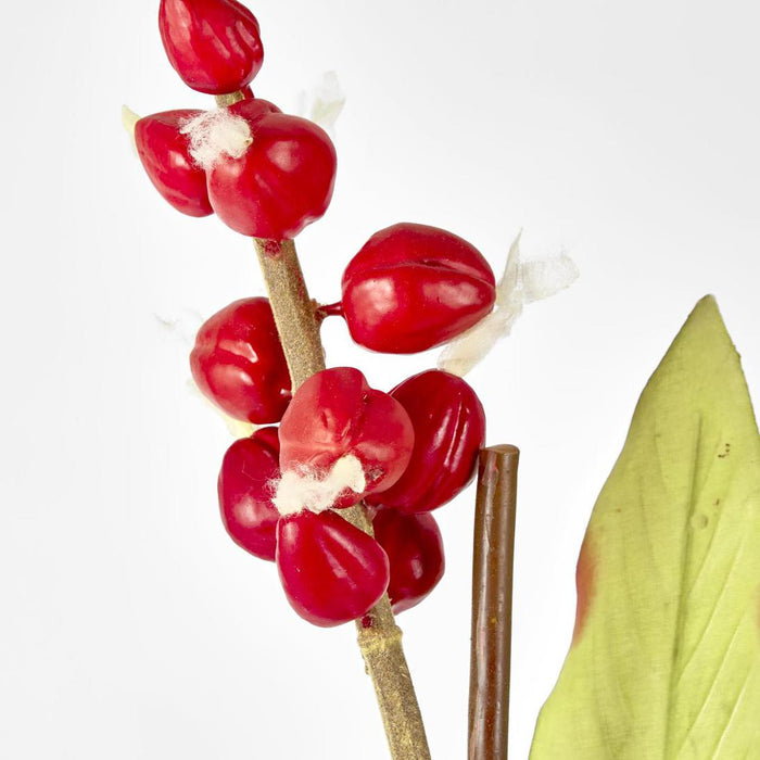 Shell Ginger 70cm Red 4 pcs