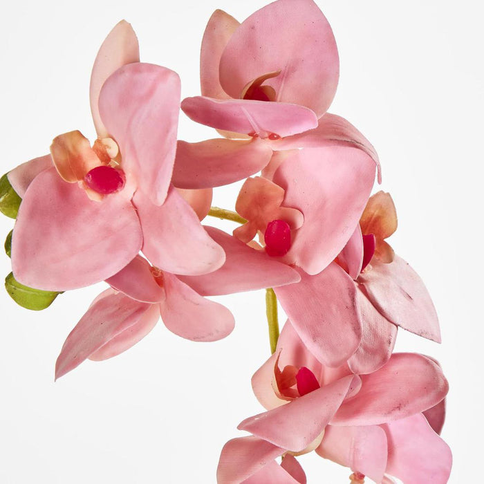 Phalaenopsis Orchid Spray Pink 3 pcs