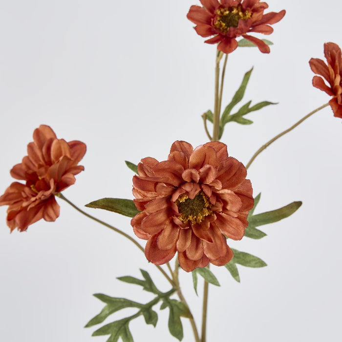 Daisy Spray Brown 75cm 12 pcs