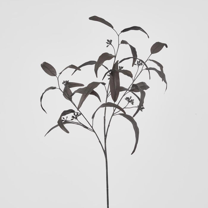 Halloween Willow Eucalyptus Black Spray 72cm