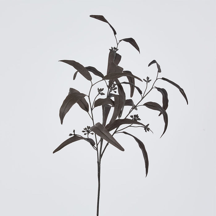 Halloween Willow Eucalyptus Black Spray 72cm