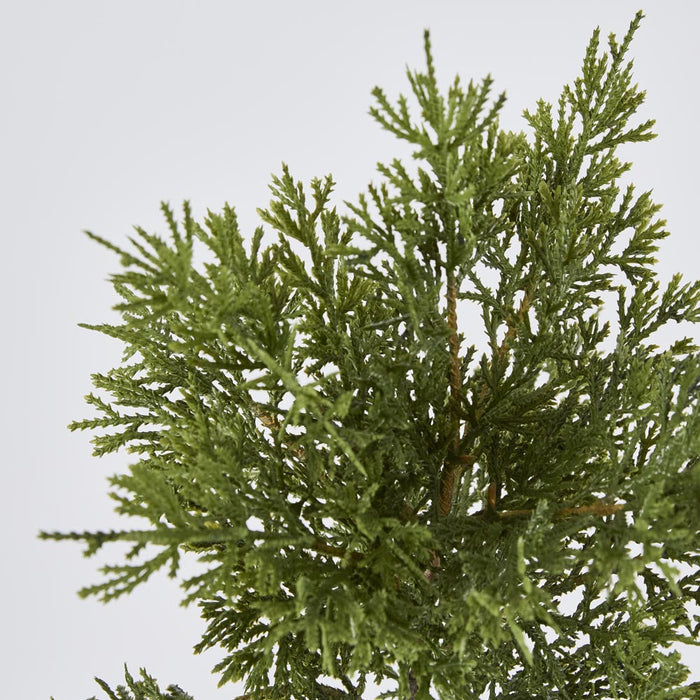 Cedar Bush Dark Green 46cm set of 12