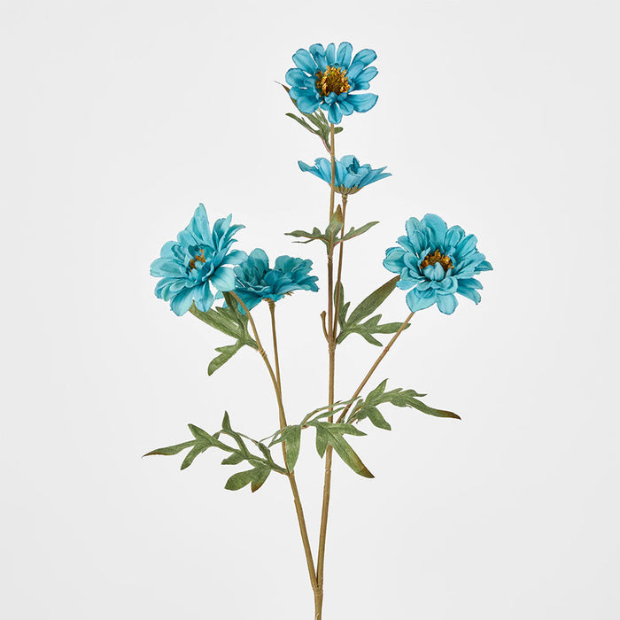 Daisy Spray Blue 75cm 12 pcs