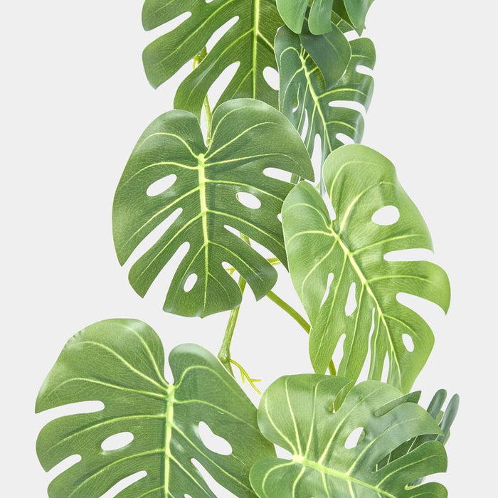 Split Leaf Philo Garland