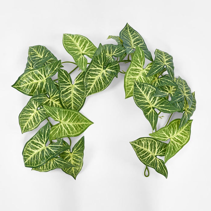 Variegated Taro Leaf Garland