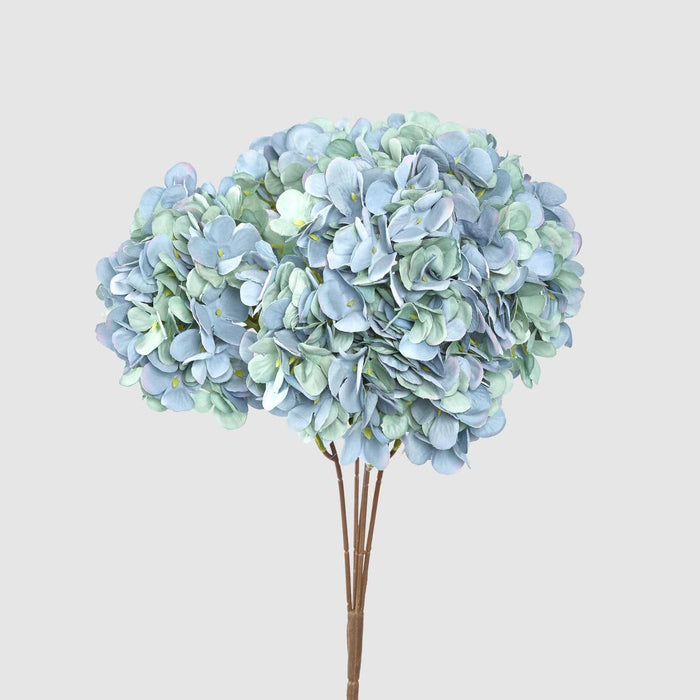 Hydrangea Bush Dark Blue 6 pcs