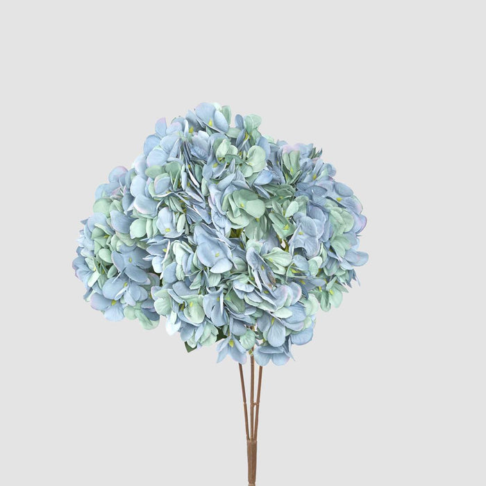 Hydrangea Bush Dark Blue 6 pcs