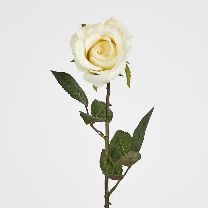 Long Stem Rose Pale Yellow 12 pcs