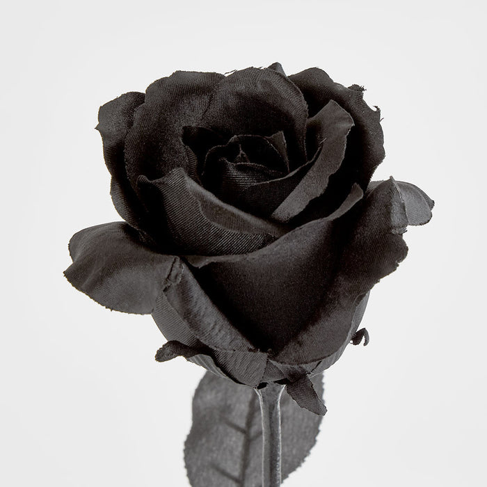 Long Stem Rose Black 12 pcs