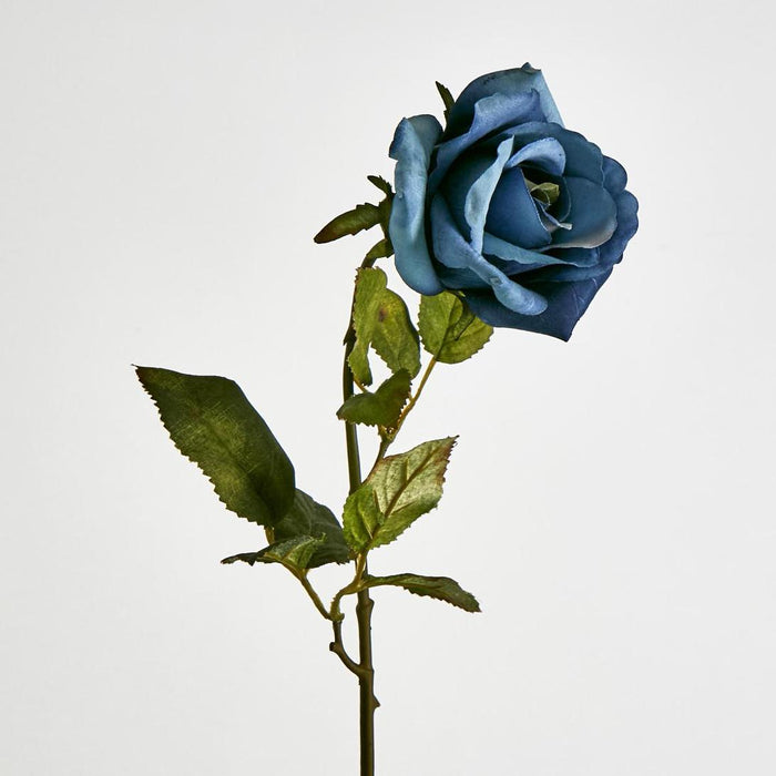 Long Stem Rose Blue 12 pcs