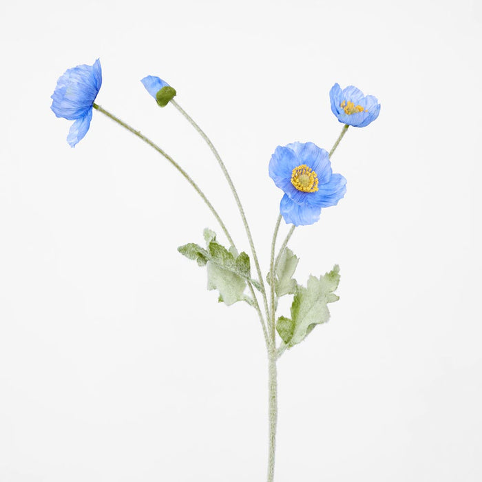 Poppy Spray Blue 12 pcs
