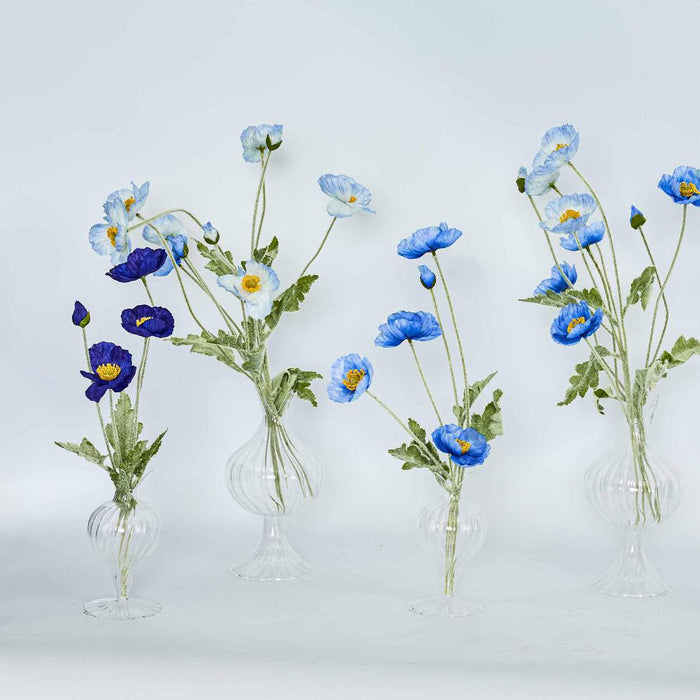 Poppy Spray Blue 12 pcs