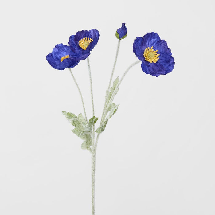 Poppy Spray Dark Blue 12 pcs