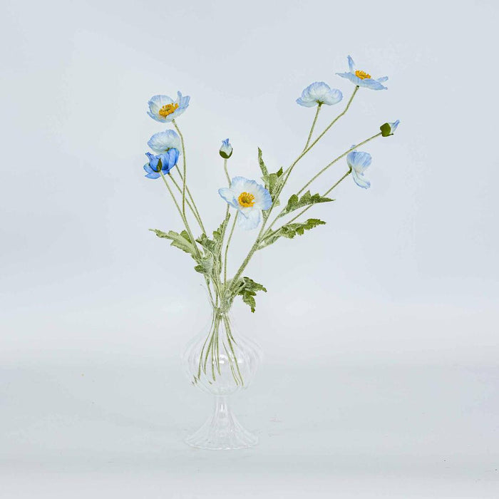 Poppy Spray Light Blue 12 pcs