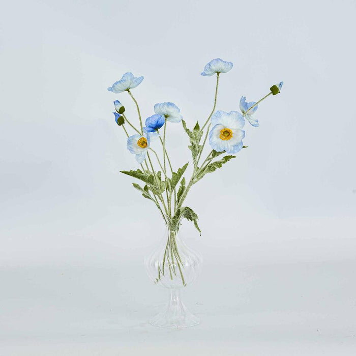 Poppy Spray Light Blue 12 pcs
