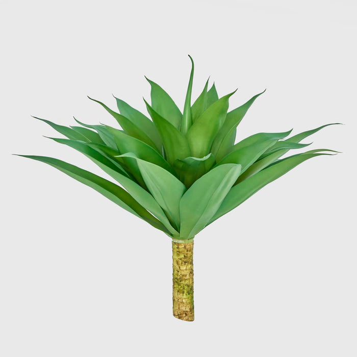 Giant Agave Stem trunk