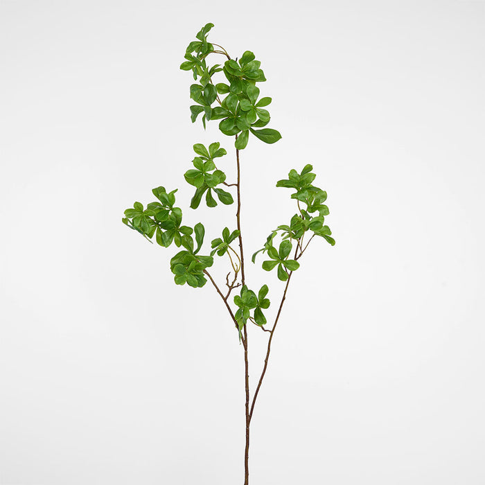 Mini Leaf Spray