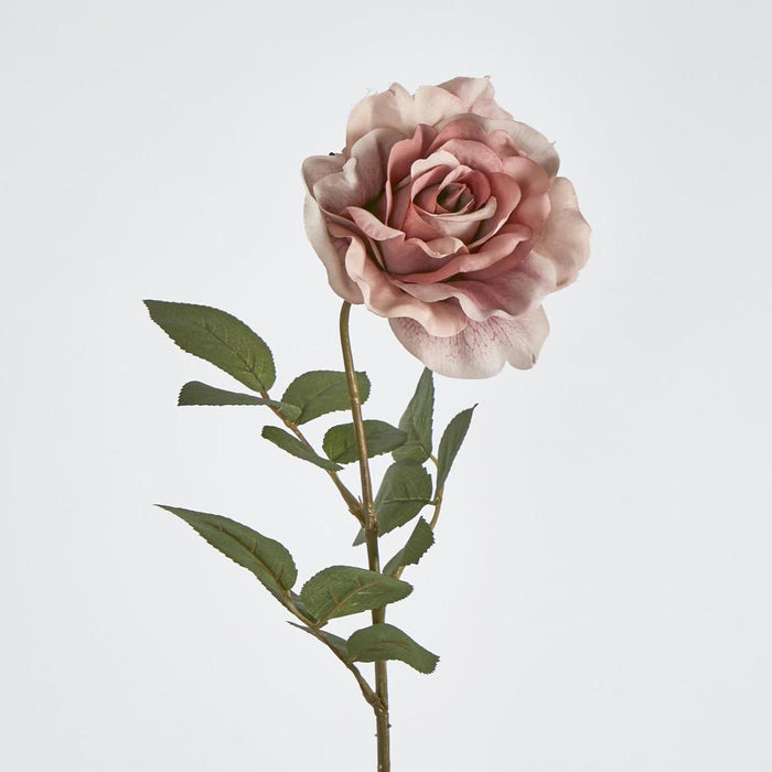 Rose Stem Dusty Pink 12 pcs