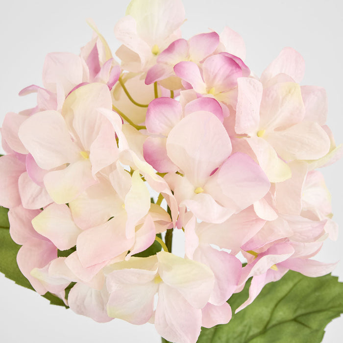 Domed Hydrangea 68cm Light Pink