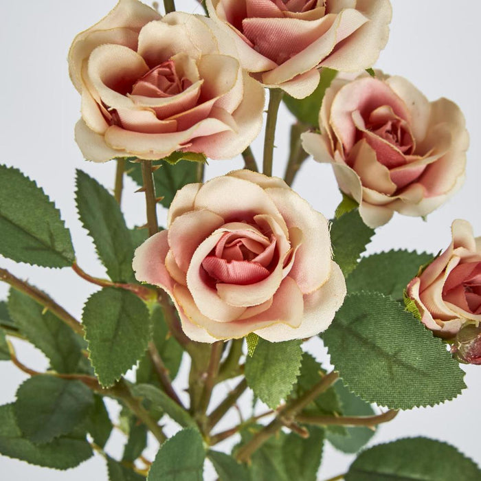 Rose Spray x 10 Heads Peach 12 pcs