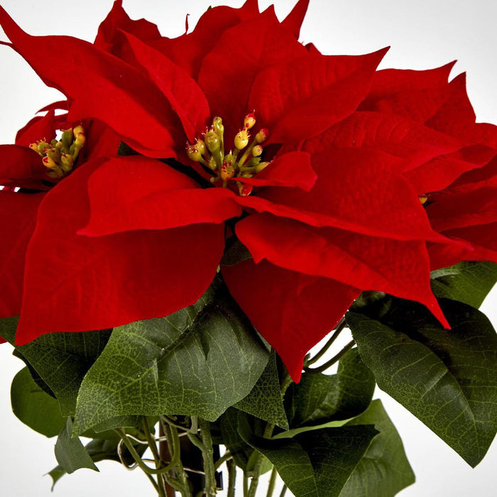 Christmas Red Velvet Poinsettia Bush by 5