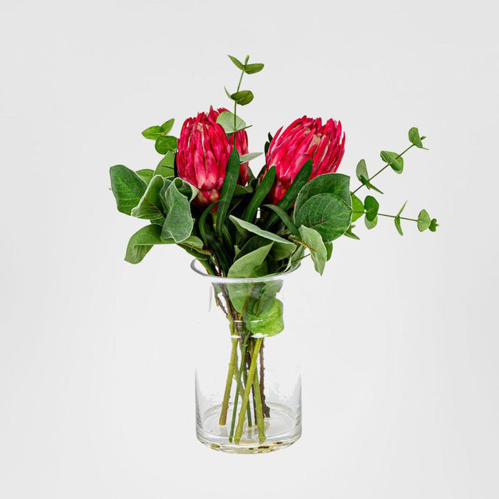 Red Protea in Toby Vase Sml