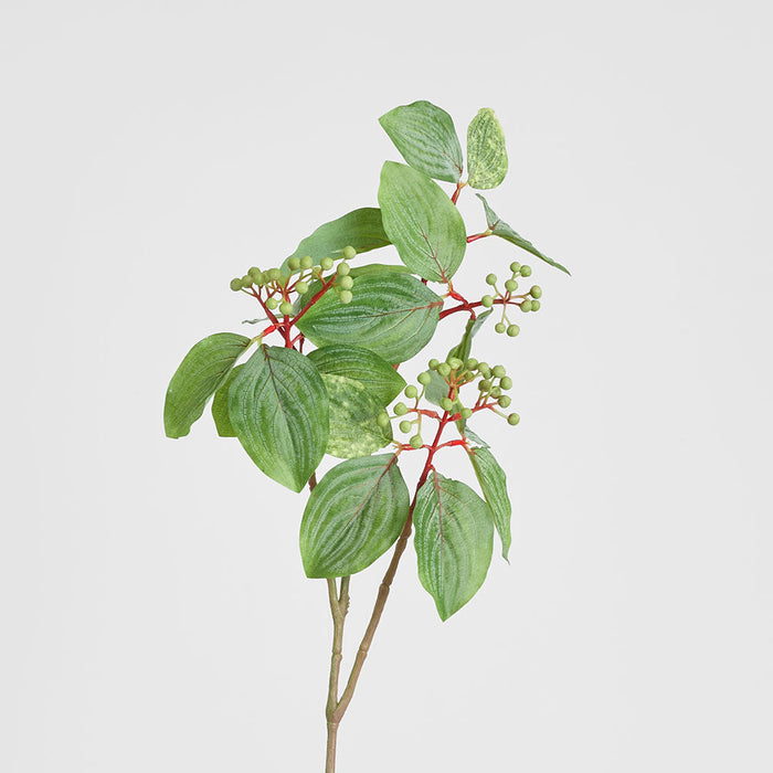 Leaf Seed Spray 80cm Green