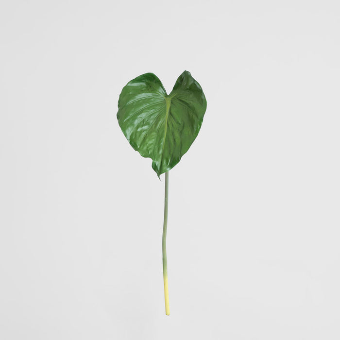 Alocasia Leaf 90cm Green