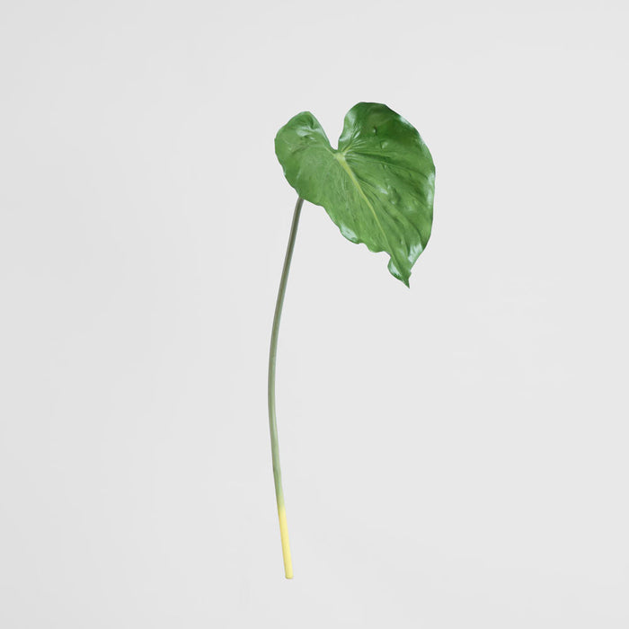 Alocasia Leaf 90cm Green