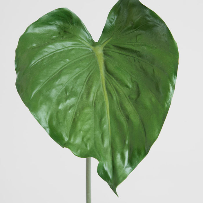 Alocasia Leaf 90cm Green