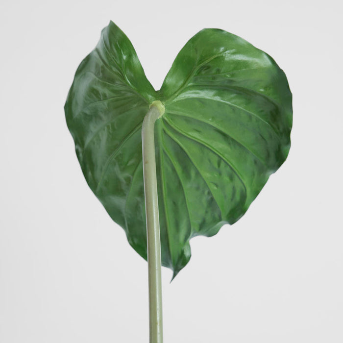 Alocasia Leaf 90cm Green