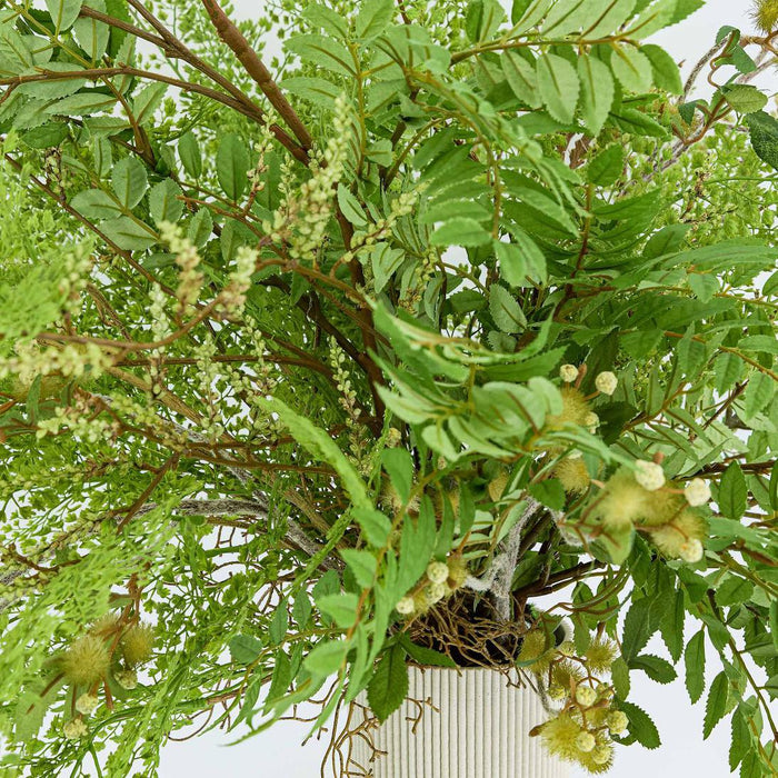 Sorbus Leaf Spray 108cm