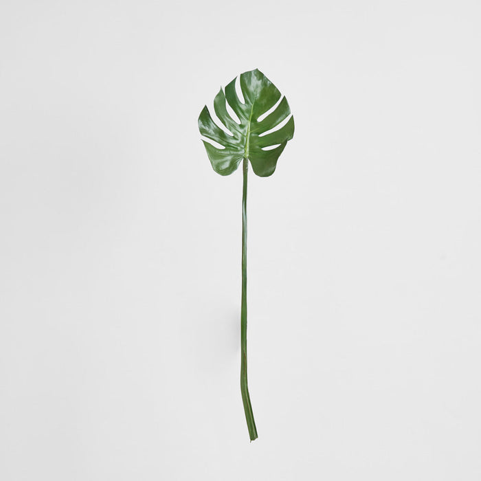 Split-Leaf Philodendron Stem 75cm Green