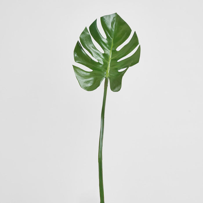 Split-Leaf Philodendron Stem 75cm Green