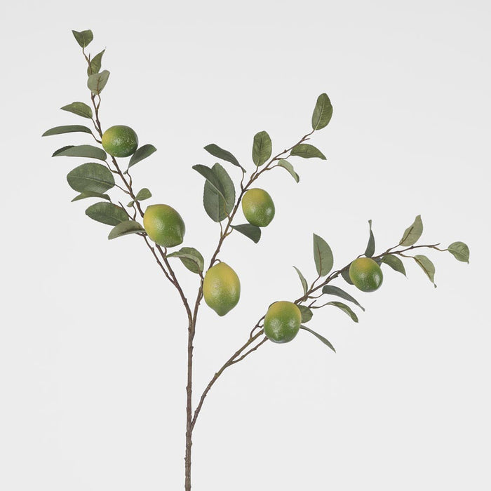 Lime Branch Spray x 6 Limes with Leaves