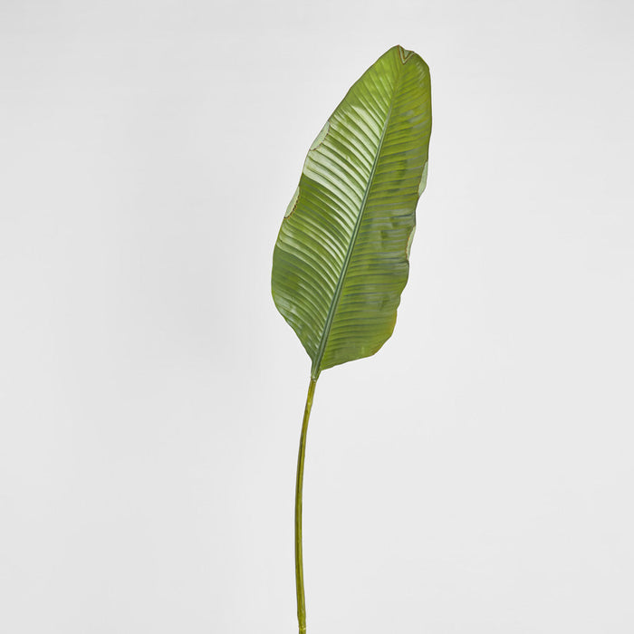 Banana Leaf 1.7m Green