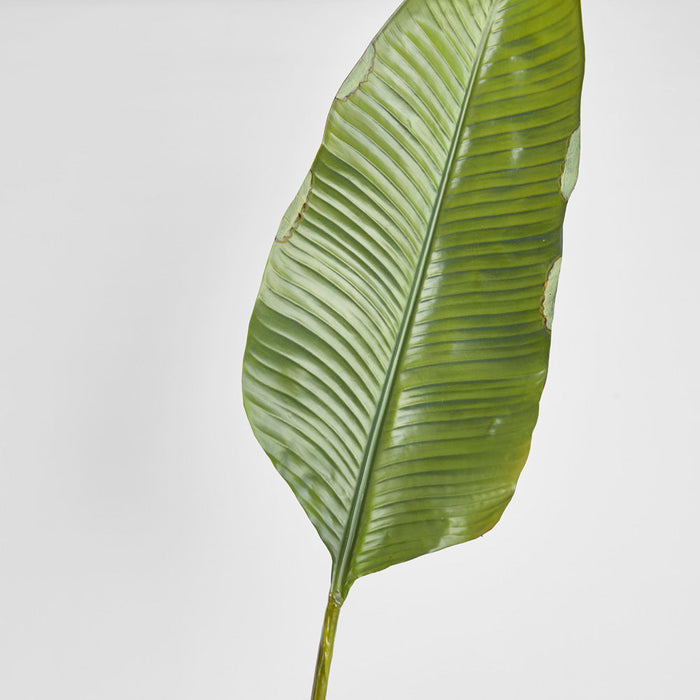 Banana Leaf 1.7m Green