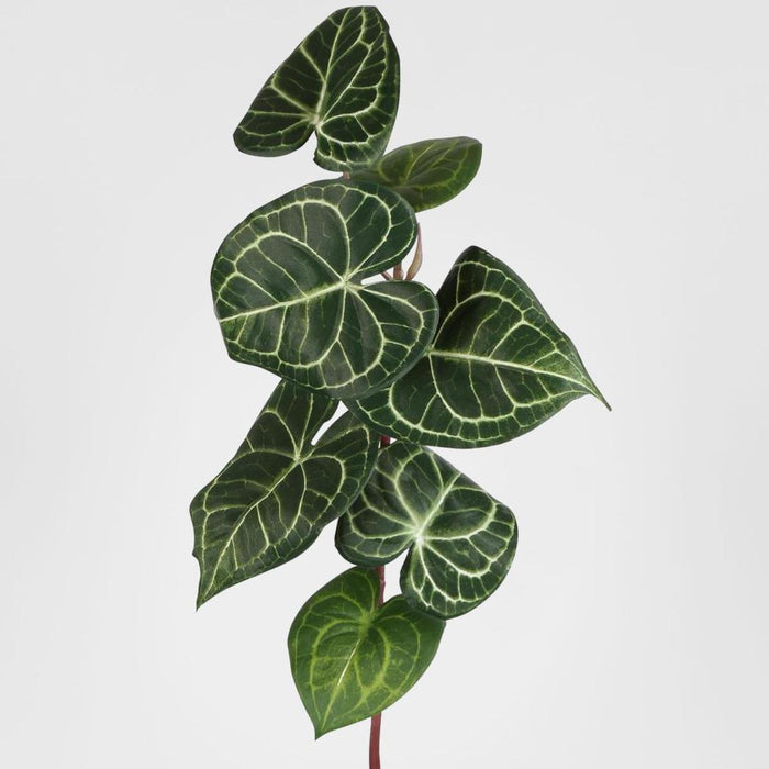 Anthurium Leaf Spray