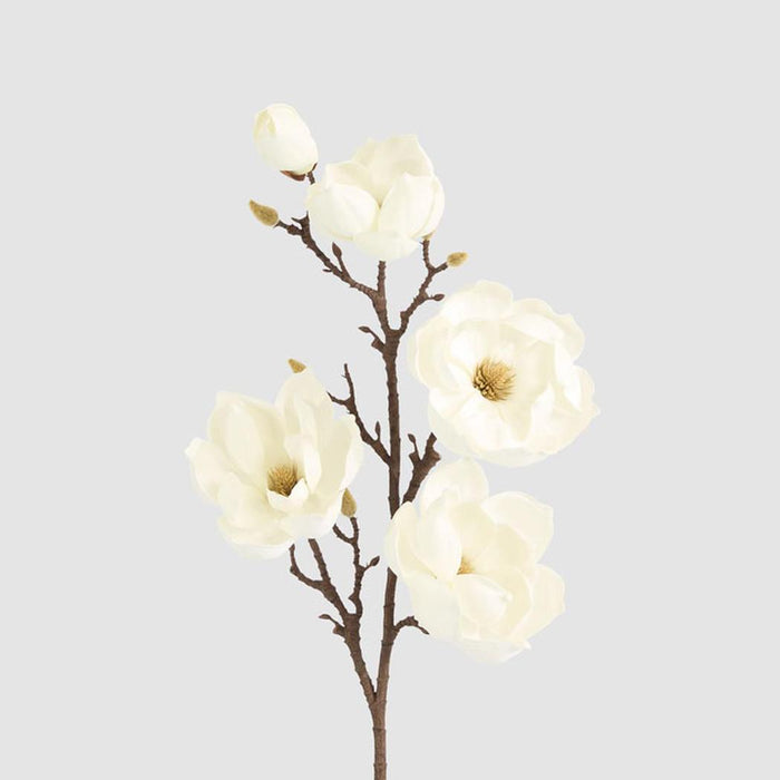 Magnolia Stem With 5 Flowers 102cm