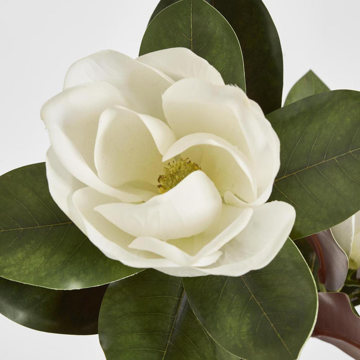 Magnolia Large 2 Heads 85cm White