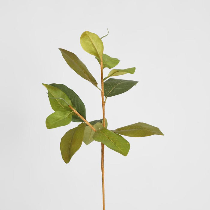 Autumn Magnolia Leaf Spray Stem 70cm 6 pcs